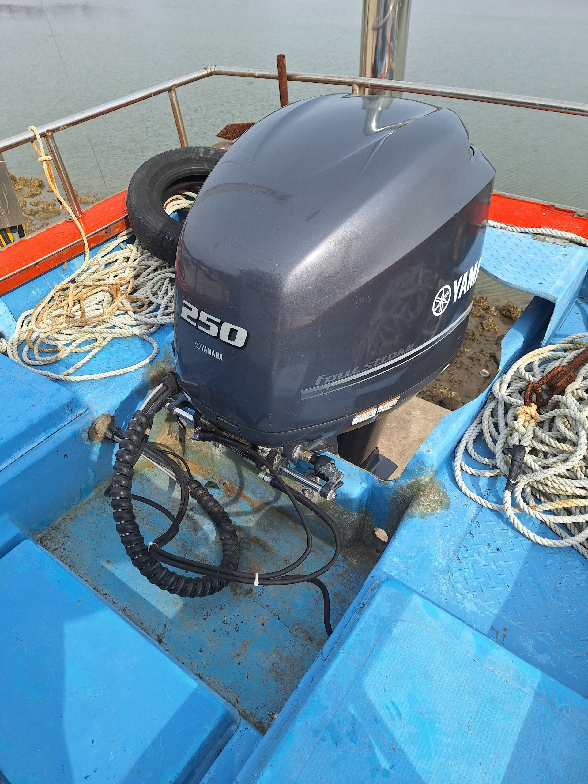 1.5톤 레저선 매매 이미지 4