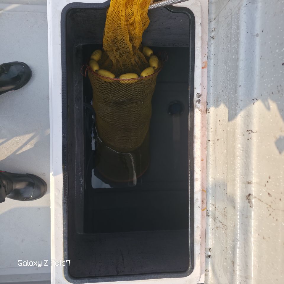 1.49톤 레저선 매매 이미지 8